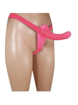 ARNES PUNTO G ROSA
