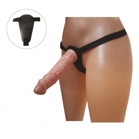 ARNES AMERICANO MEDIANO